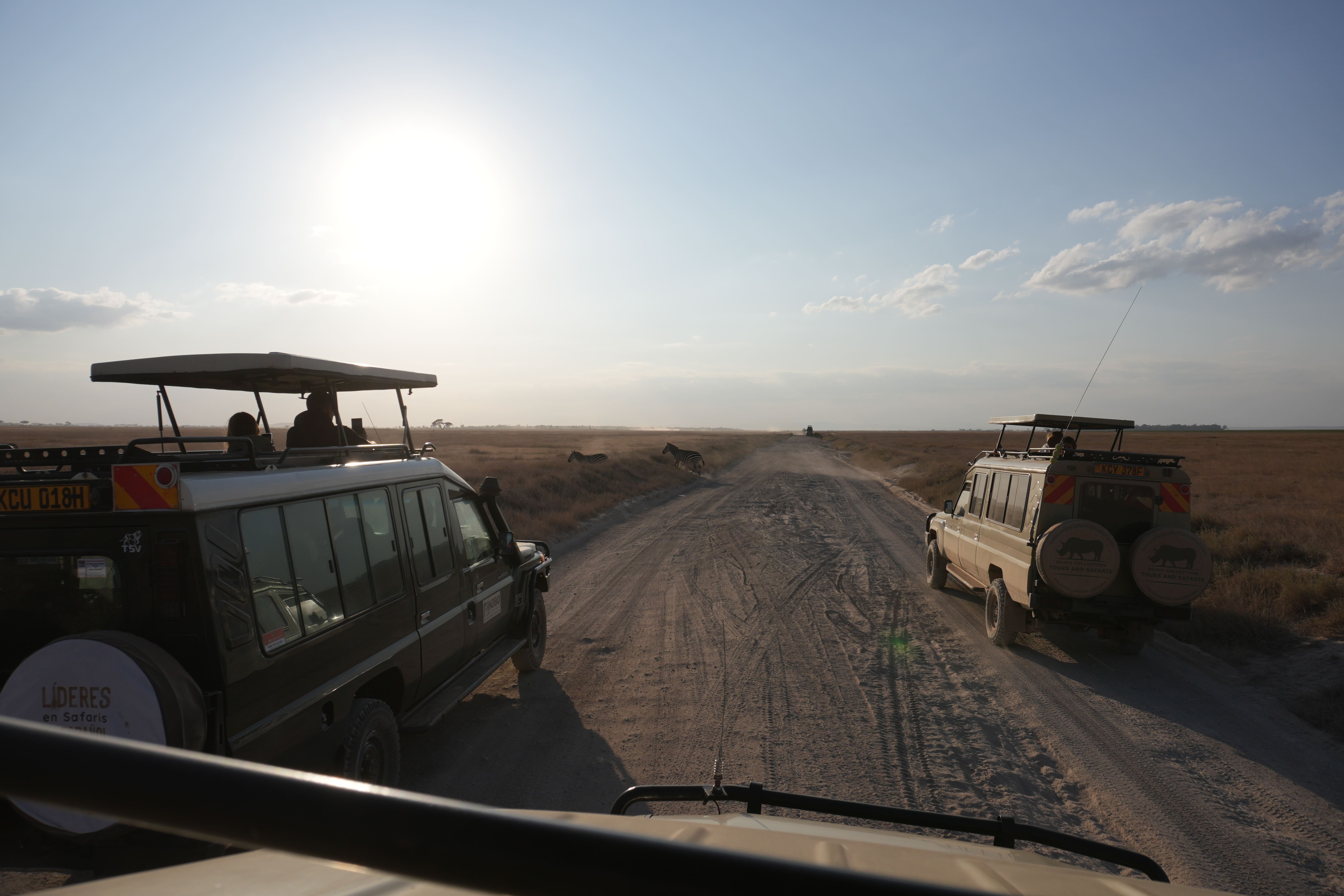 Safari in Jeep