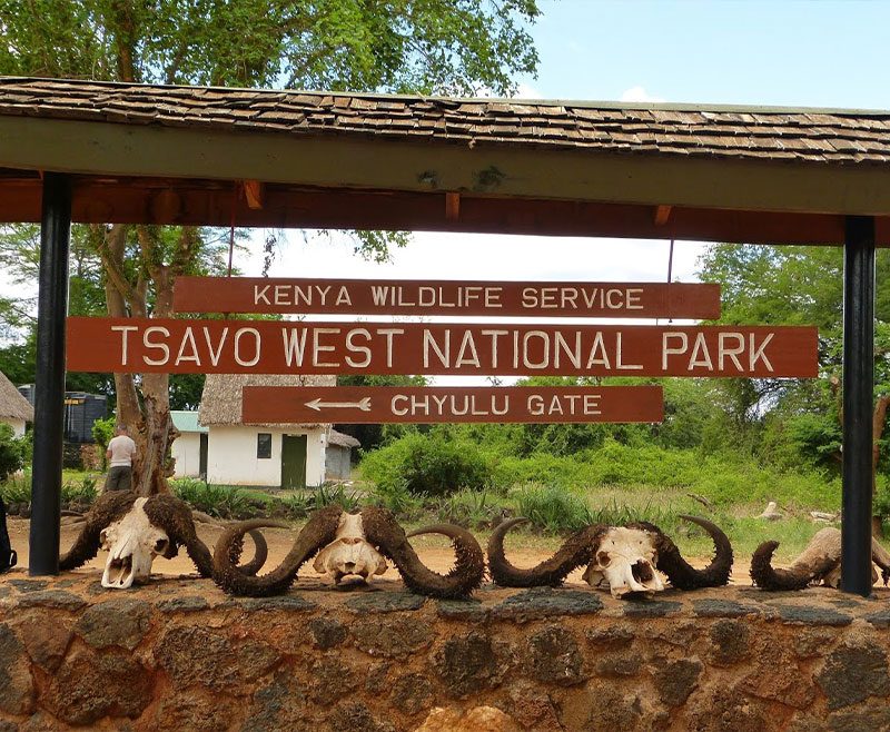 Safari Tsavo Ovest