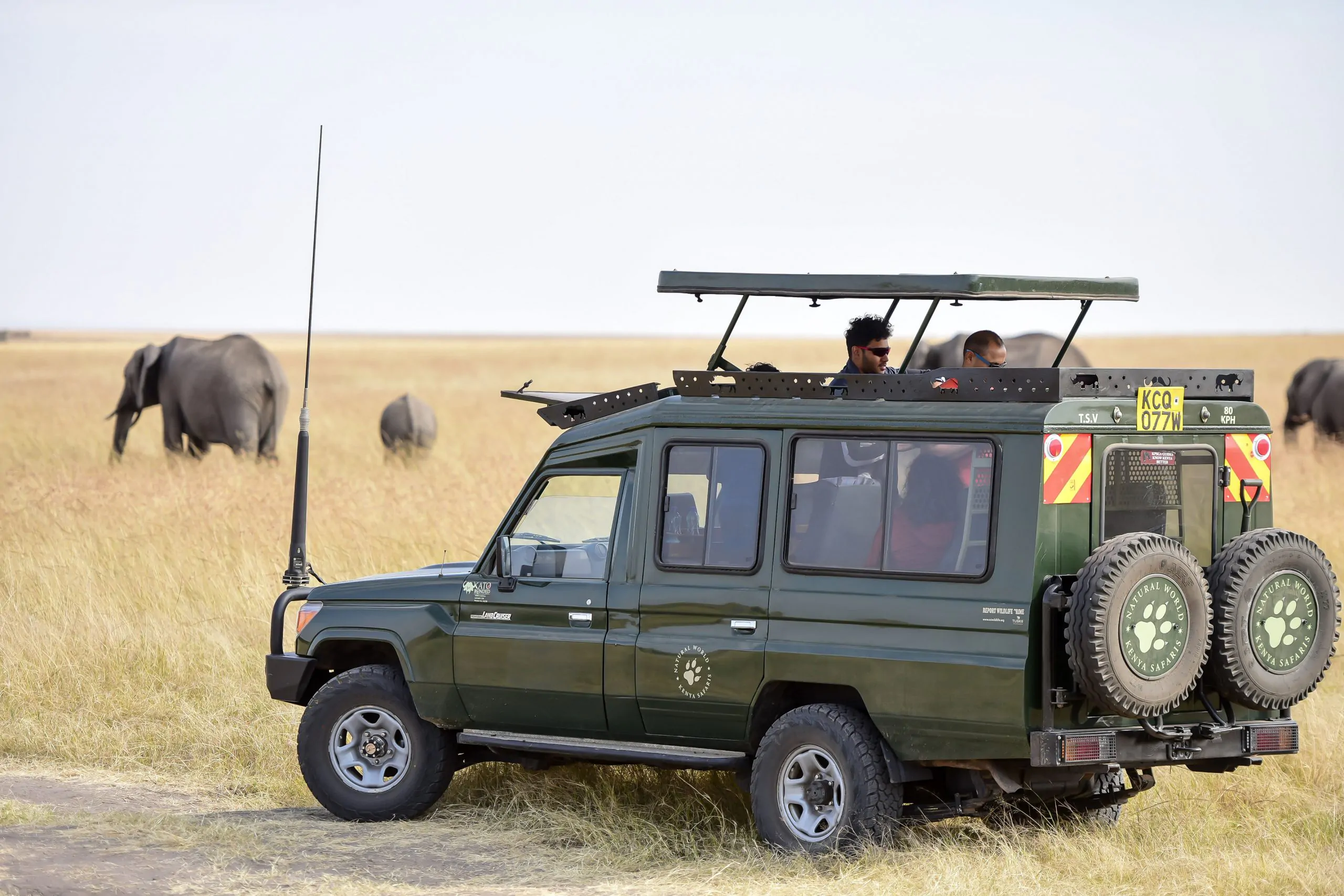 Safari in Jeep