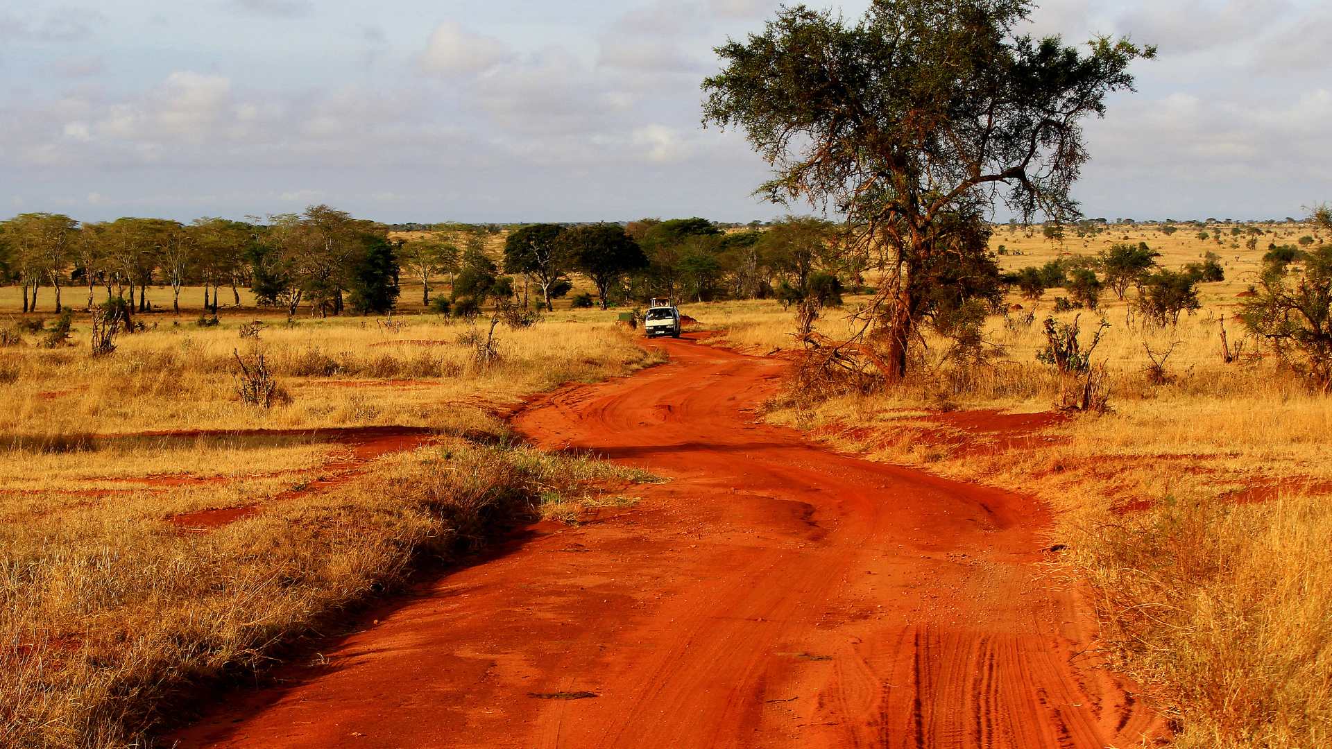 Panorama Tsavo Est