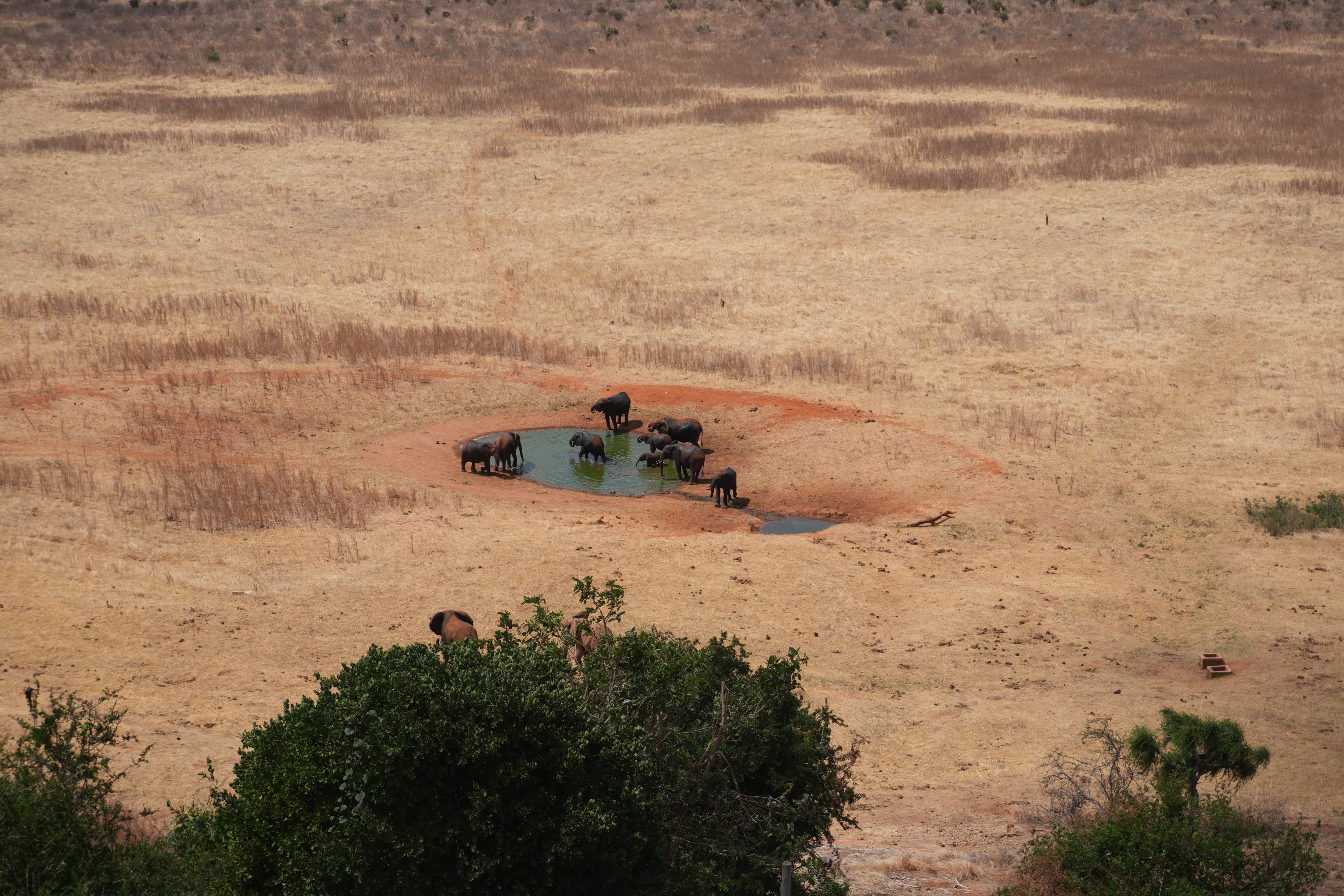 Panorama Tsavo Ovest